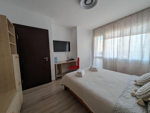 a bedroom with a bed and a tv and a window at Mila's Home in Burgas