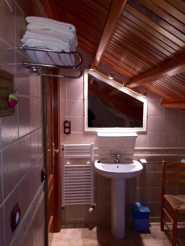a small bathroom with a sink and a mirror at Apartamentos Rurales Casa Ron in Coaña
