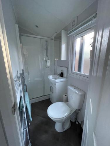 uma casa de banho branca com um WC e um lavatório em Luxe chalet (gloednieuw!) in Hoenderloo em Hoenderloo
