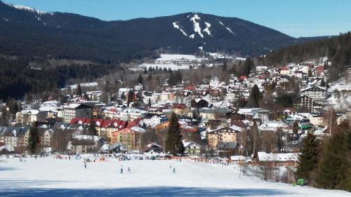 a group of people skiing down a snow covered mountain at Apartmán U kostela in Železná Ruda