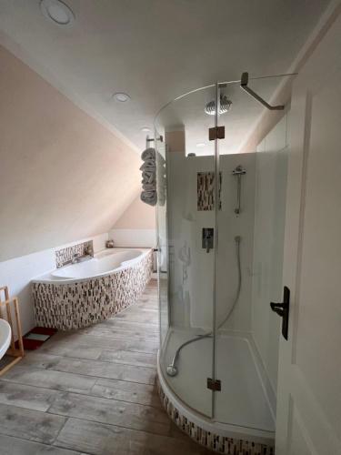 a bathroom with a shower and a bath tub at Ferienhaus Bergblick - mit Sauna und Dampfbad und Yacuzzi in Sehma