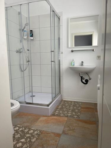 ein Bad mit einer Dusche und einem Waschbecken in der Unterkunft Hotel Am Wildpark in Sankt Ingbert