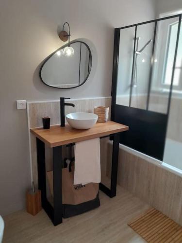 une salle de bain avec un lavabo et un miroir dans l'établissement Villa au calme avec grande piscine, à Villerest