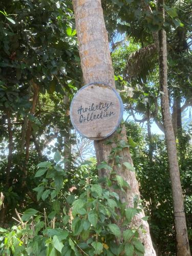 a sign on a tree in a forest at Hiriketiya Collection in Dickwella