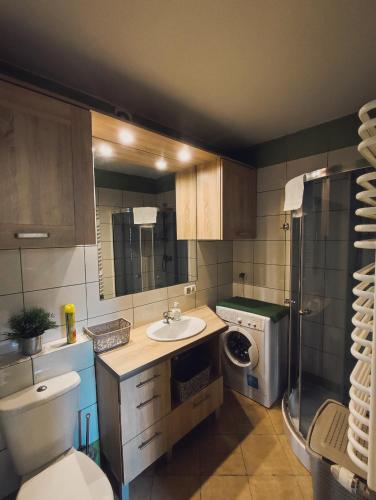 a bathroom with a toilet sink and a washing machine at Kora in Sosnowiec