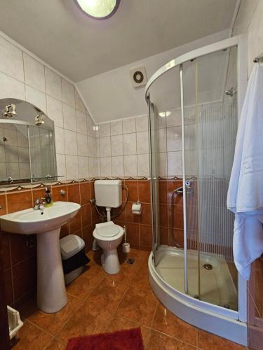 Kylpyhuone majoituspaikassa Vila Vlăduț
