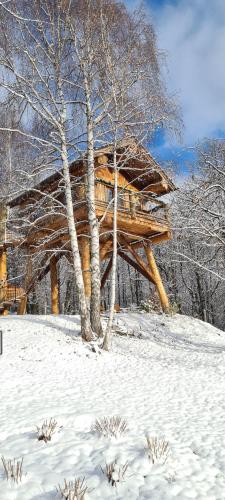 una cabaña de madera en la nieve con un árbol en La quiete di Ileana Sofian, en Pamparato