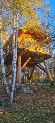 a tree house in the middle of the forest at La quiete di Ileana Sofian in Pamparato
