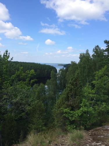 a view of the water from a hill with trees at Bastanäs Rosenberg in Linneryd