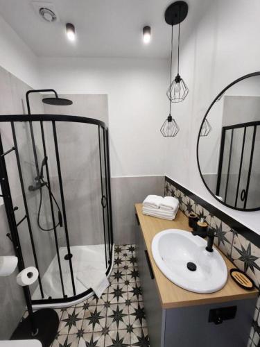 uma casa de banho com um chuveiro, um lavatório e um espelho. em CityCenterApartments/KSS2 em Bielsko-Biala
