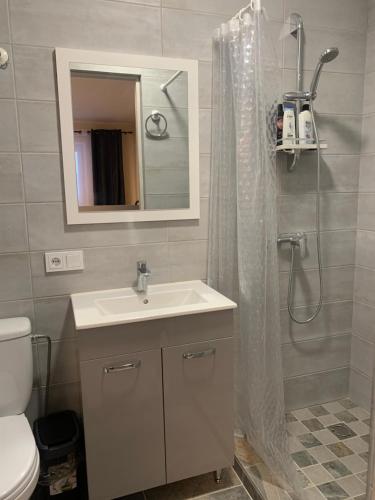 a bathroom with a sink and a shower curtain at Lampėdis in Kaunas