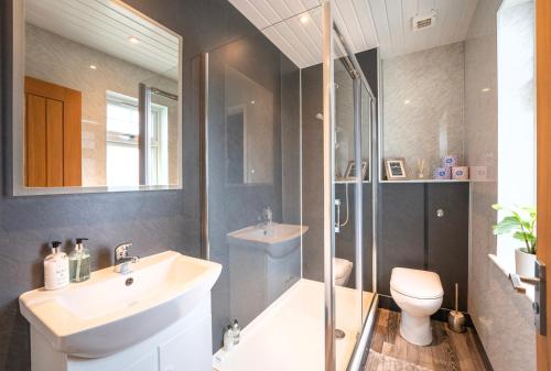uma casa de banho com um lavatório, um WC e um chuveiro em Argaty Cottage em Doune
