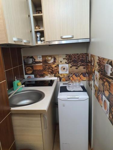 a small kitchen with a sink and a dishwasher at CHIC APARTMENT- Place to Remember in Galaţi