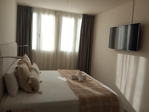 a bedroom with a bed with a television on the wall at HOSTAL LA ESTACION TERRAZAS in Madrid