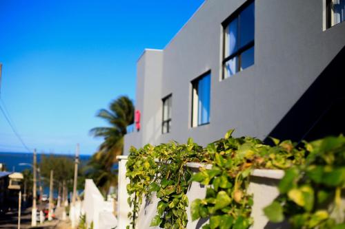 a white building with a plant in front of it at Liiv Hub in Natal