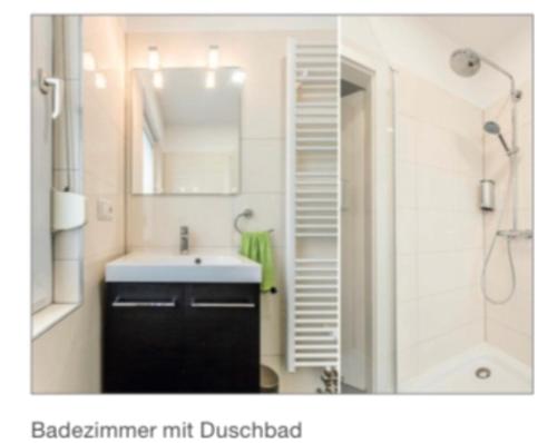 La salle de bains est pourvue d'un lavabo, d'une douche et d'un miroir. dans l'établissement Im Tal 2 Apartment WH1 EG, à Bergheim