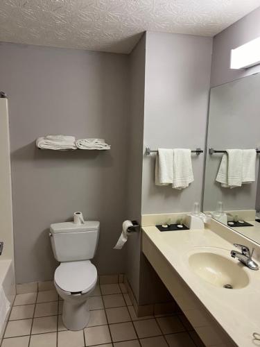 a bathroom with a toilet and a sink and a mirror at Springfield Inn in Springfield