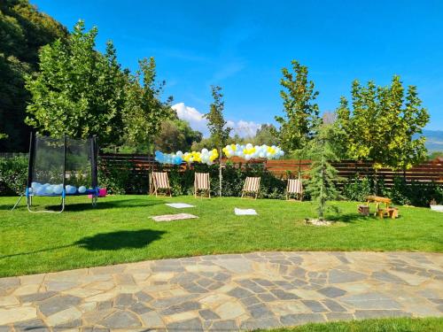 克利默內甚蒂的住宿－POIANA MARAMURESEANA，草地上一个带椅子和气球的公园