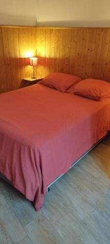 トゥールーズにあるAppartement Toulouseのベッドルーム1室(大型ベッド1台、赤い掛け布団付)