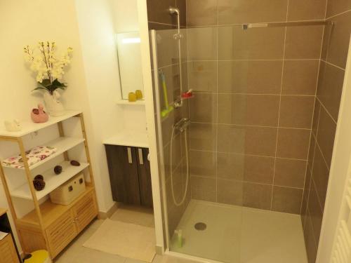 une douche avec une porte vitrée dans une salle de bain dans l'établissement Residence Coeur boise appartement avec terrasse et wifi Espace vert, à Capbreton