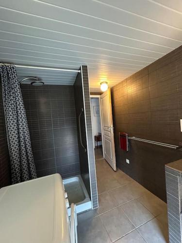 une salle de bain avec douche et toilettes dans l'établissement Appartement au cœur d’un village, à Foce