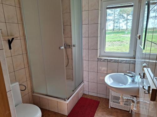 a bathroom with a shower and a toilet and a sink at Posiadłość Nad Zatoką in Ryn