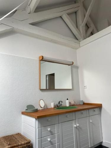 une salle de bain avec un lavabo et un miroir dans l'établissement Grande chambre indépendante, charme, calme sur jardin, Nantes centre, accès privé par escalier de l'immeuble, sdb & wc privés, 10 minutes gare et palais des congrès, à Nantes