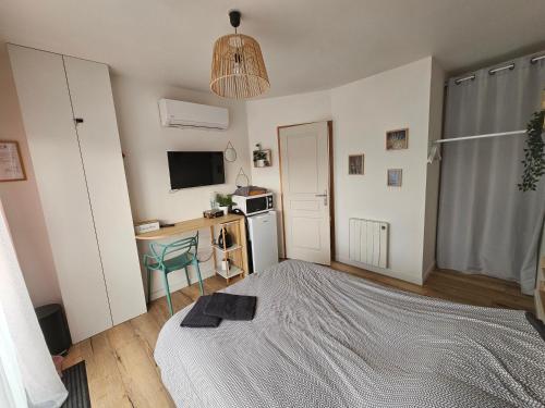 - une chambre avec un lit, un bureau et une télévision dans l'établissement Chambre indépendante, privée climatisée avec parking, à Montauban
