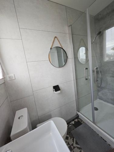 La salle de bains est pourvue de toilettes, d'une douche et d'un miroir. dans l'établissement Chambre indépendante, privée climatisée avec parking, à Montauban