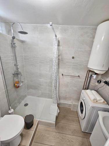 a small bathroom with a shower and a toilet at Brise Marine - Saint Gilles les Bains - Boucan - Studio vue mer in Saint-Gilles les Bains