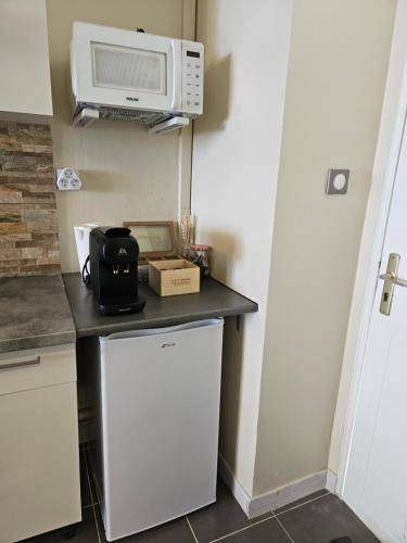 a small kitchen with a microwave and a refrigerator at Brise Marine - Saint Gilles les Bains - Boucan - Studio vue mer in Saint-Gilles les Bains