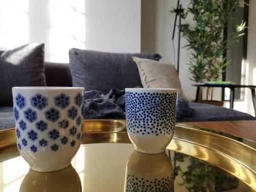 due vasi seduti su un tavolo in soggiorno di Lovely apartment dowtown a Bordeaux