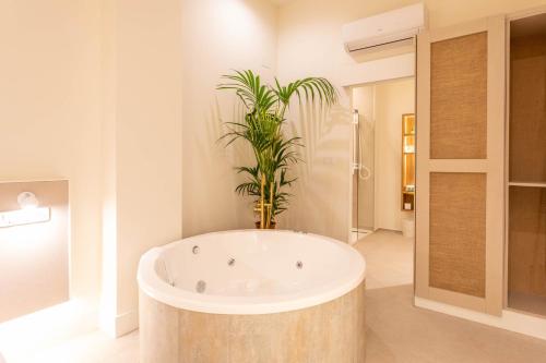 a bath tub with a plant in a bathroom at Reina Victoria Velázquez in Alicante
