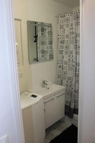 une salle de bain avec un lavabo et un rideau de douche dans l'établissement Studio indépendant proche Paris, à Chennevières-sur-Marne