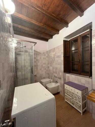 e bagno con servizi igienici, doccia e lavandino. di Agriturismo La Torre Di Monsindoli a Siena