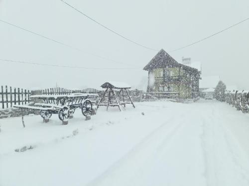 a snow covered yard with benches and a building at Maricom Home in Zărneşti