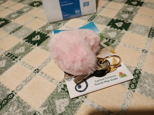 a pink stuffed animal on top of a book at Romantico Rifugio in Guardiagrele