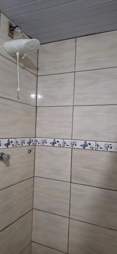 een badkamer met een douche met blauwe vogels aan de muur bij KitnetdaNathy. in Itajaí