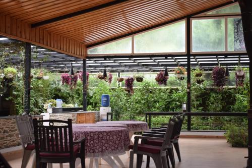 Dunagiri Retreat – Photos 4