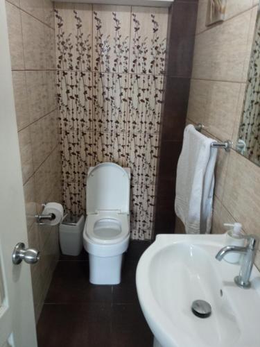 un piccolo bagno con servizi igienici e lavandino di Casa Villa Eru a Gallinazos Hacienda