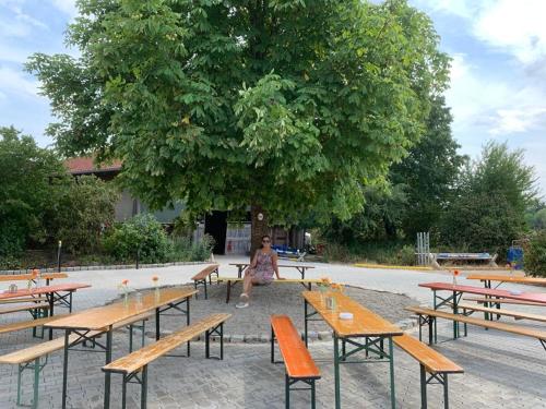 Restaurace v ubytování Reitschule Kronwitter