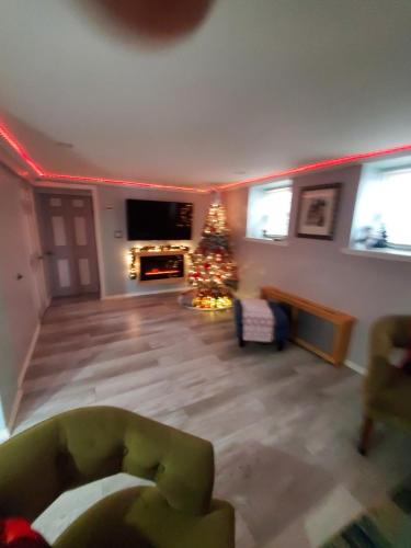 a living room with a christmas tree and a couch at Lovely 2 bedroom Apartment with 2 Entrance and Parking in University Heights