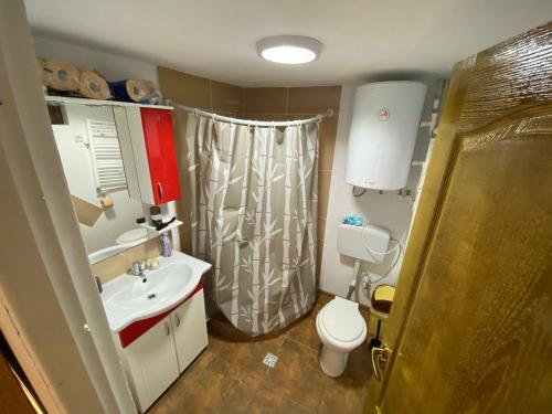 La salle de bains est pourvue d'un lavabo, de toilettes et d'une douche. dans l'établissement Cabana Bradu Moșului, 