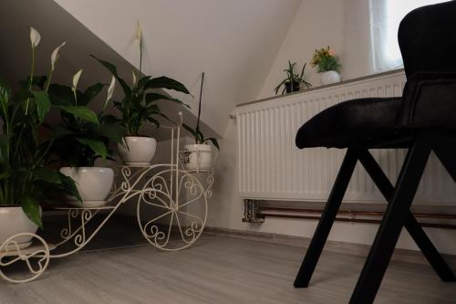 a black chair sitting next to a table with plants at Kula Apartman 3 in Brčko