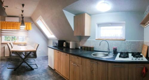 cocina con fregadero y encimera en Apartament u Janeczki, en Stepnica