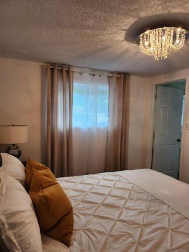 Light & Quiet 1bd – Photos 3