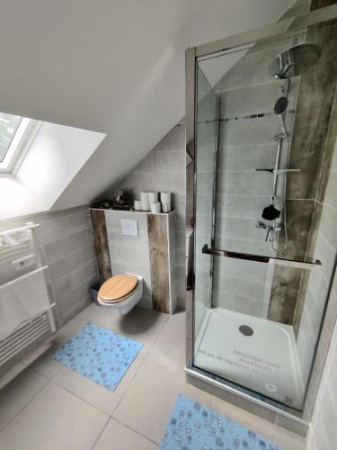 une salle de bain avec toilettes et douche en verre dans l'établissement Charmante maison à Blois gite 1, à Blois