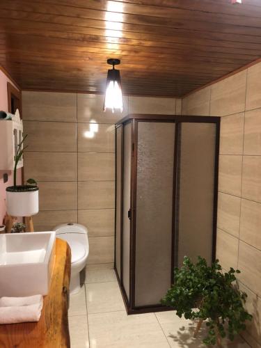 a bathroom with a shower and a toilet and a sink at Cabaña estilo rústico in Pucón
