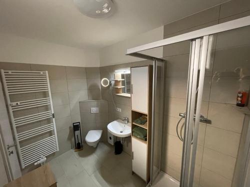 uma casa de banho com um lavatório, um chuveiro e um WC. em B&K Immobilien GbR em Tangermünde