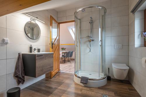 a bathroom with a shower and a sink and a toilet at Apartamenty Wisła Krzywa 8 in Wisła